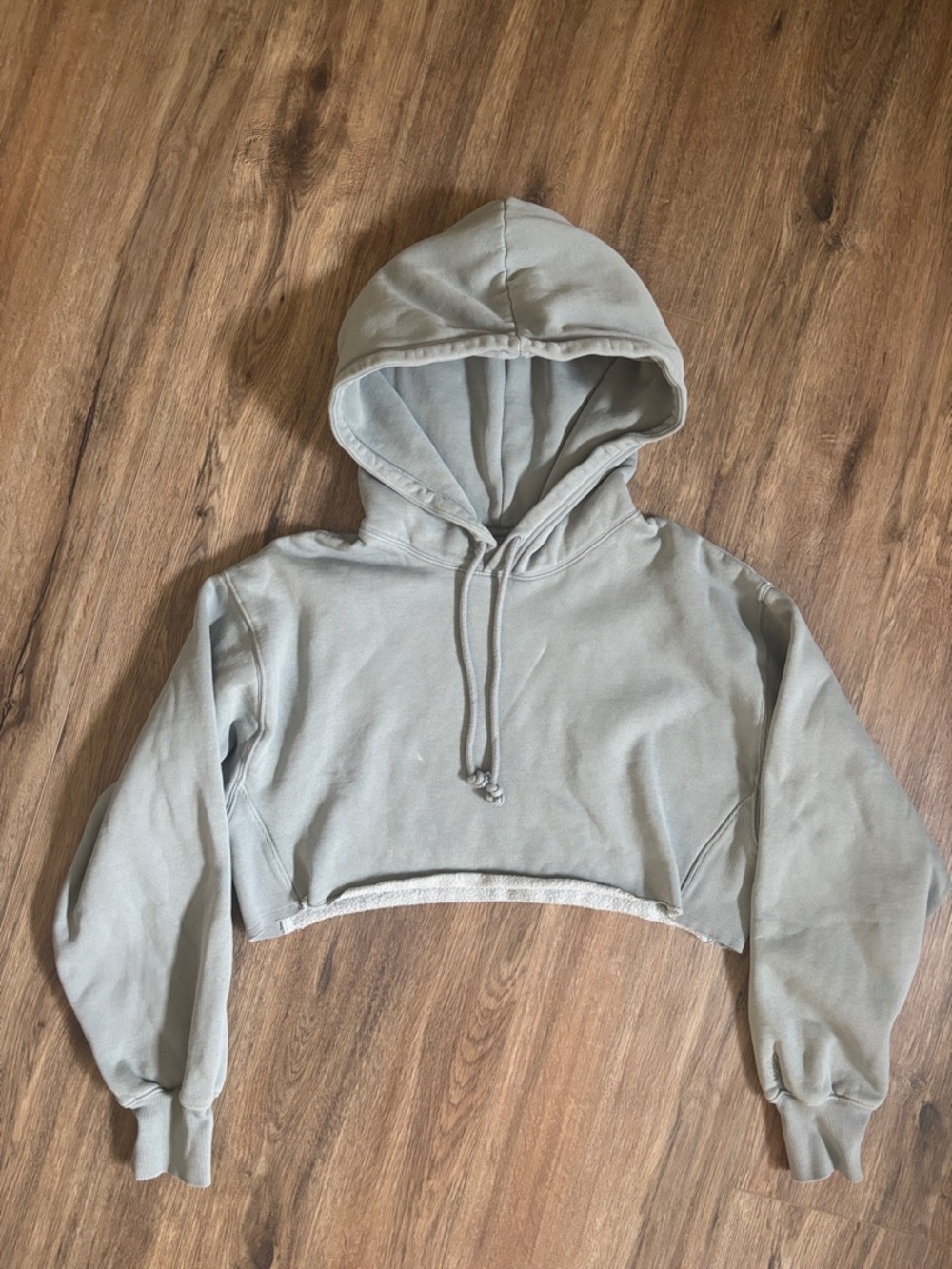 Aritzia/TNA Cozy Fleece Cropped Hoodie